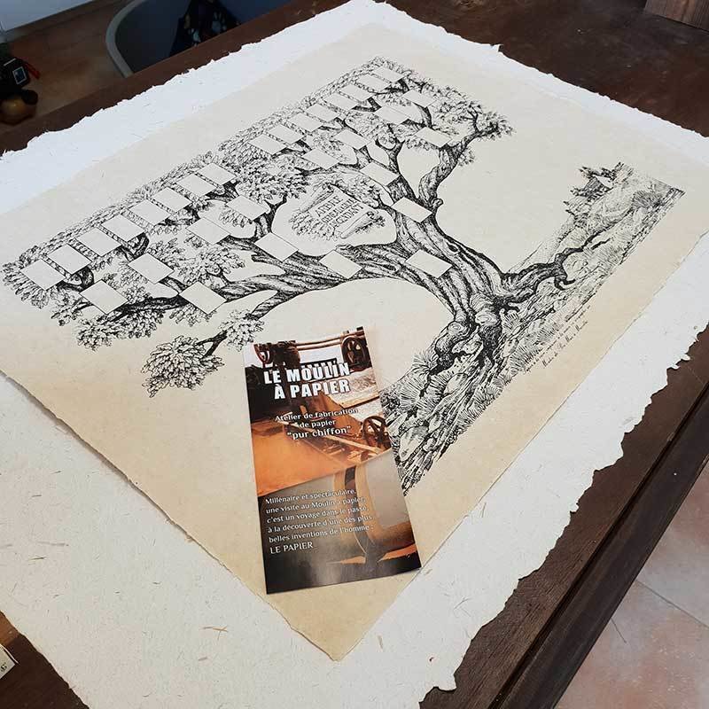 Arbre Généalogique 5 générations | Papier Pur Chiffon | Sainte-Suzanne