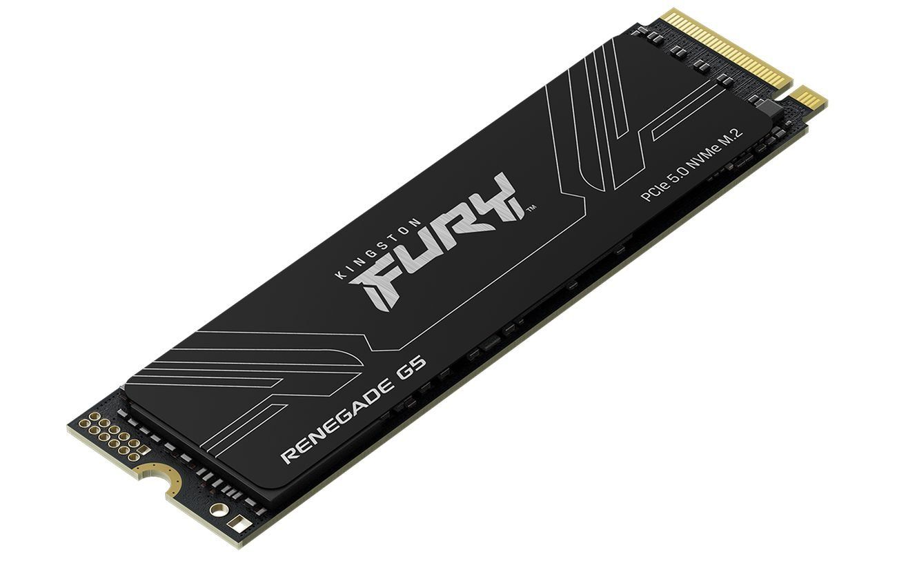 SSD-Festplatte Kingston FURY Renegade