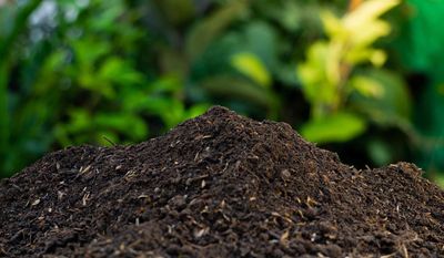 Compost - Bulk (Cubic Yard)