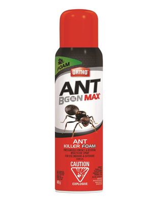 Ortho Ant B Gone Max Ant Killer Foam 400g