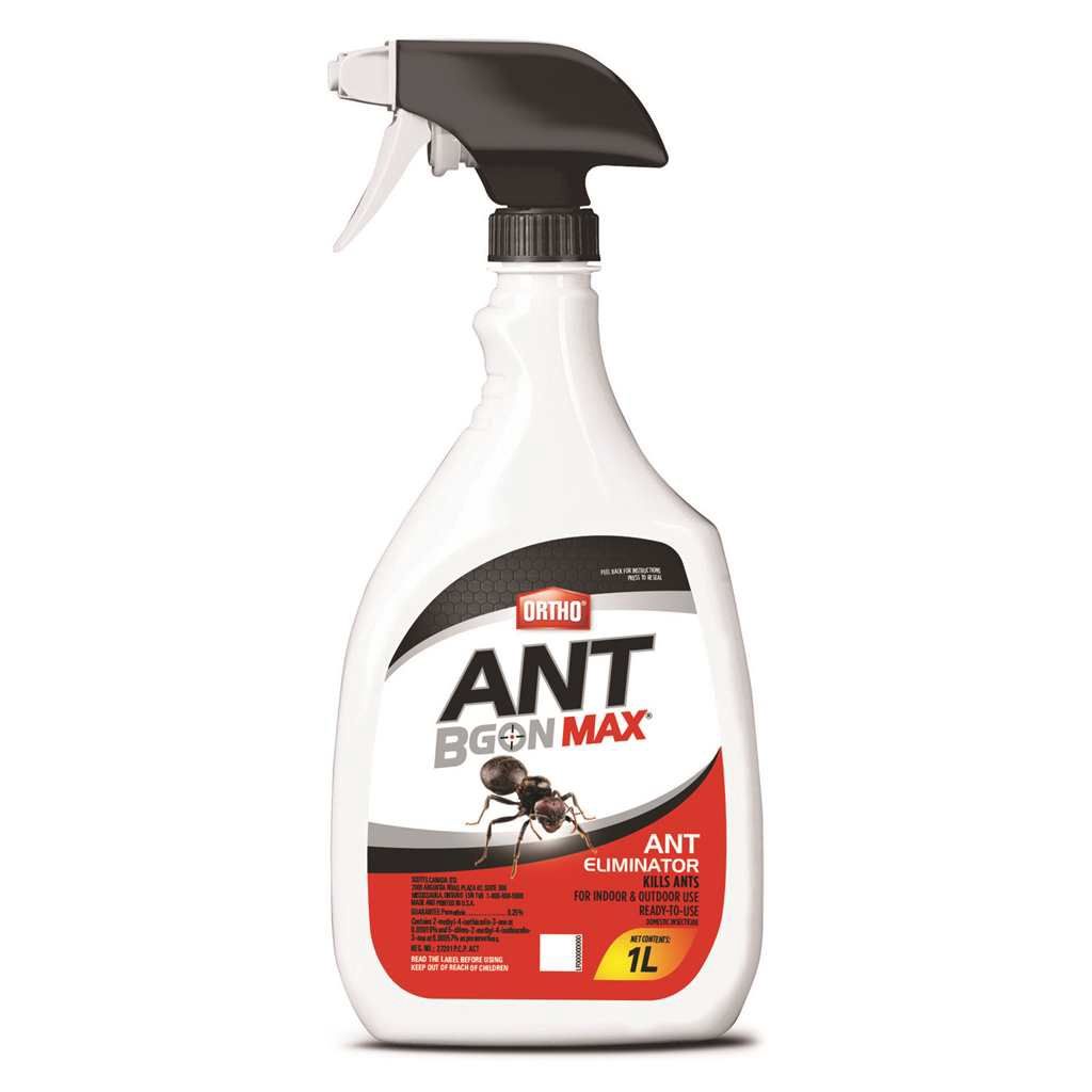 Ortho Ant B Gon Max Ant Eliminator Ready-To-Use 1L