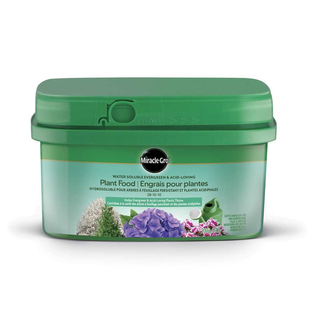 Miracle-Gro Water Soluable Evergreen &amp; Acid-Loving Plant Food 28-10-10 500g