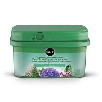 Miracle-Gro Water Soluable Evergreen &amp; Acid-Loving Plant Food 28-10-10 500g