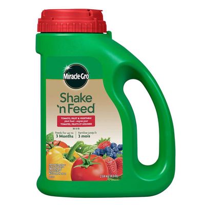 Miracle-Gro Shake N Feed Tomato, Fruits &amp; Vegetables Plant Food 10-5-15 2.04 KG