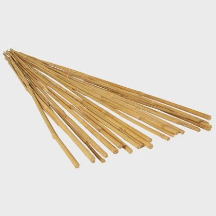 5' Bamboo Stake 25pc