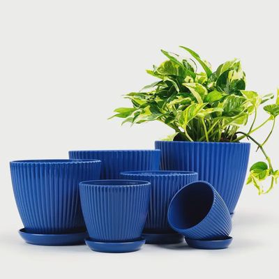 6 pc Plant Planters Blue