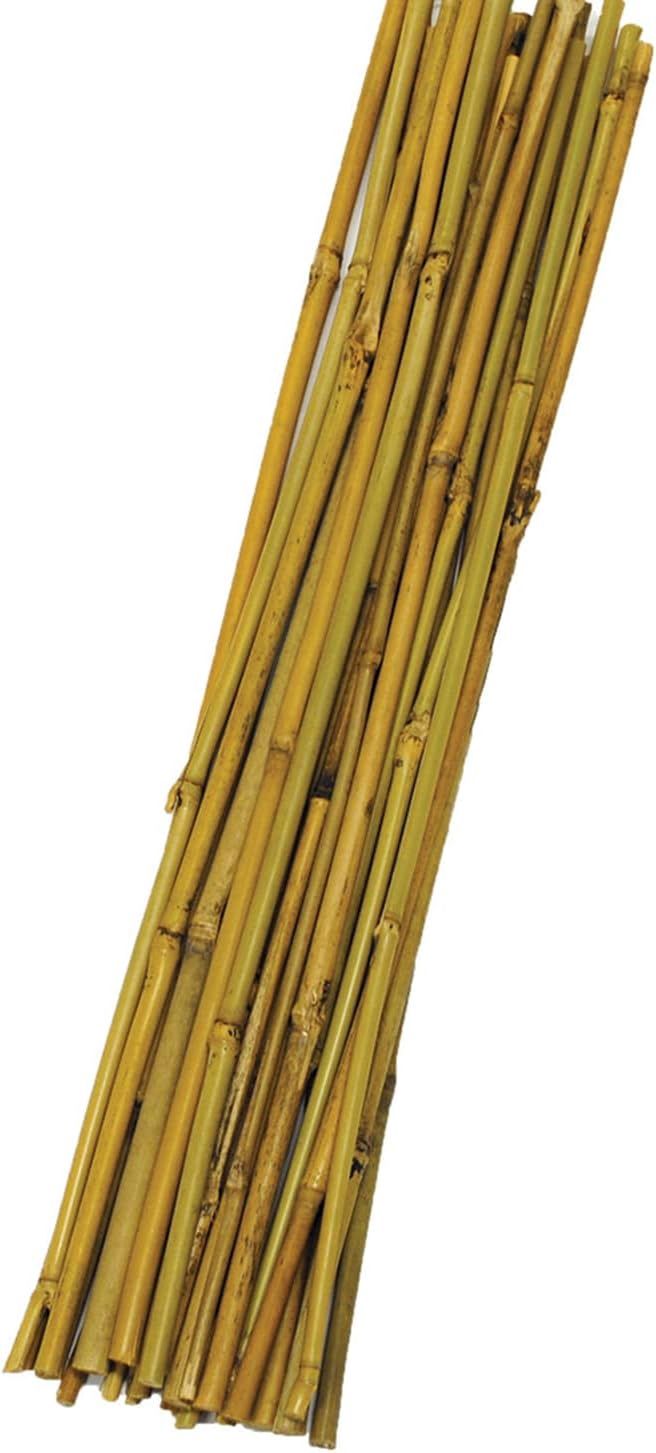 2' Bamboo Stake 25pc