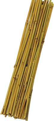 2' Bamboo Stake 25pc