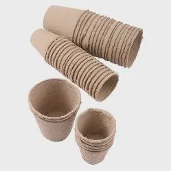 60 Pc 3" Round Pulp Cup