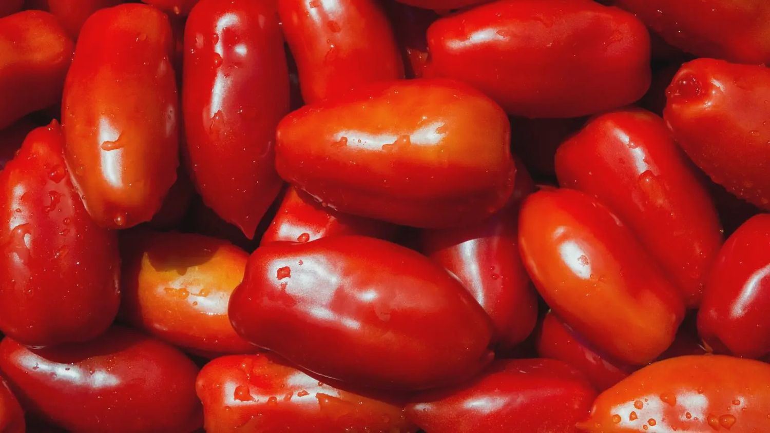 San Marzano Tomato