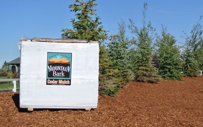 Mulch - Cedar - 5.5 Cubic Yard Bale