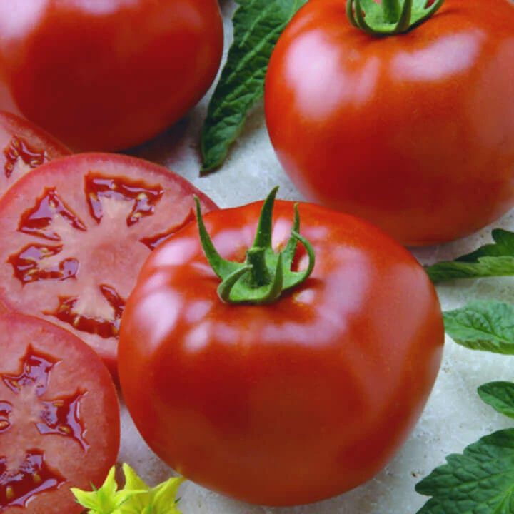 Seeds - Tomato Better Boy VFN