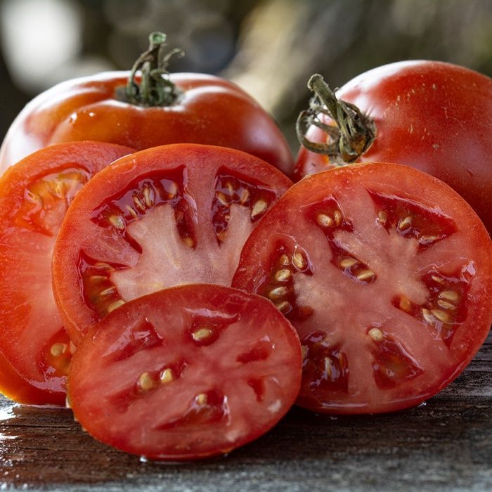Tomato Better Boy Plus