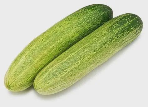 Cucumber Light Green