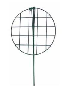 16" Grow-Through Ring - Green