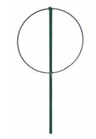 16" Peony Ring 40" legs - Green