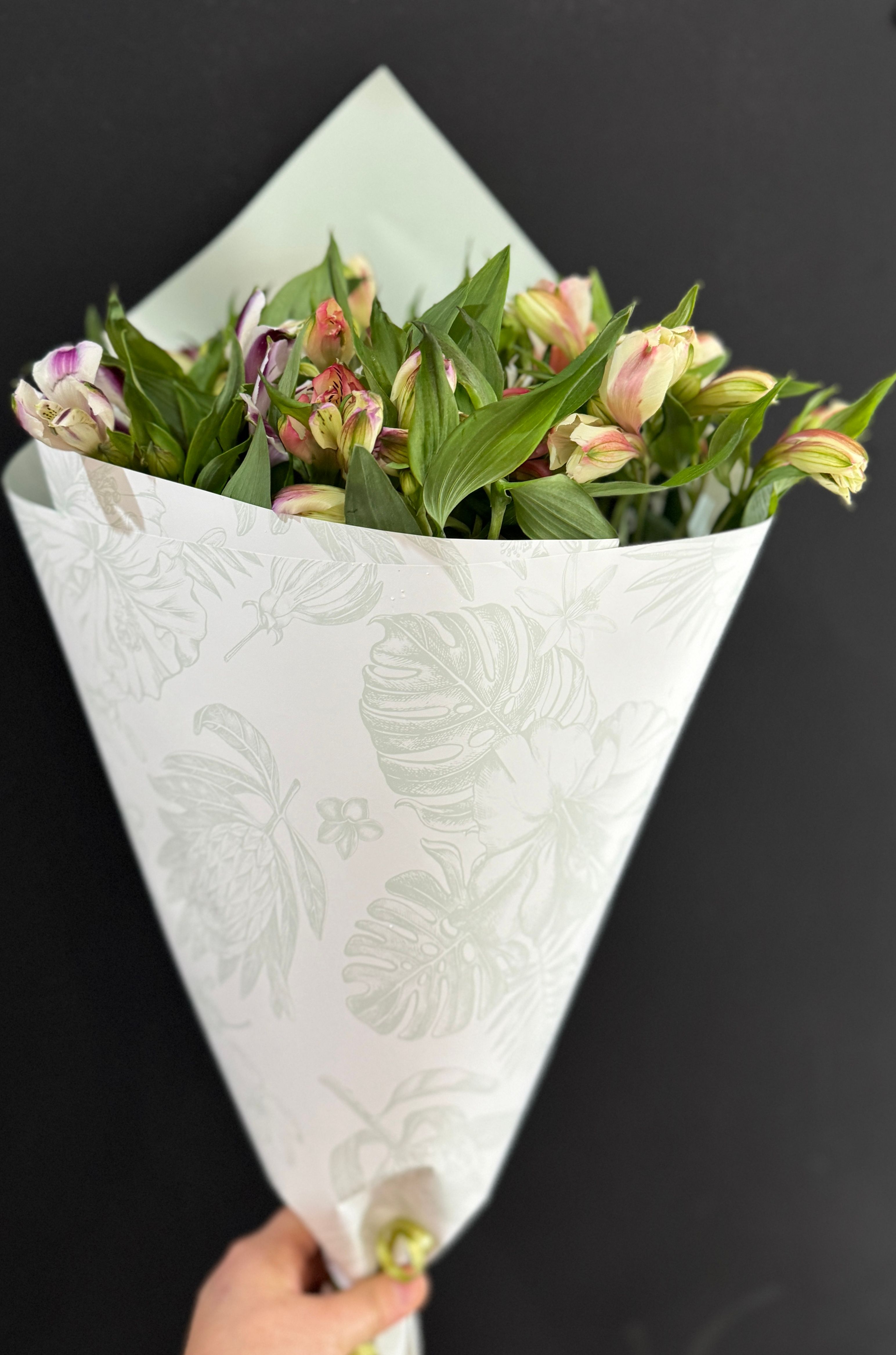 Alstroemeria  Wrap