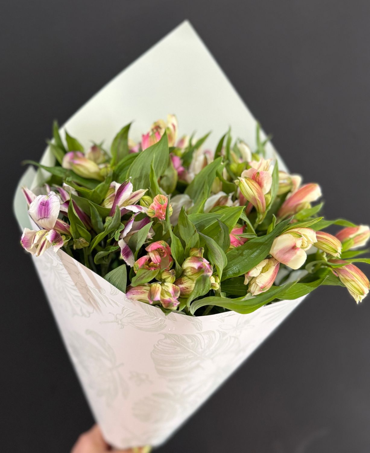 Alstroemeria  Wrap