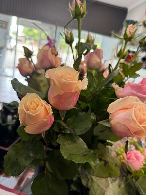 Designers Choice Arrangement 2