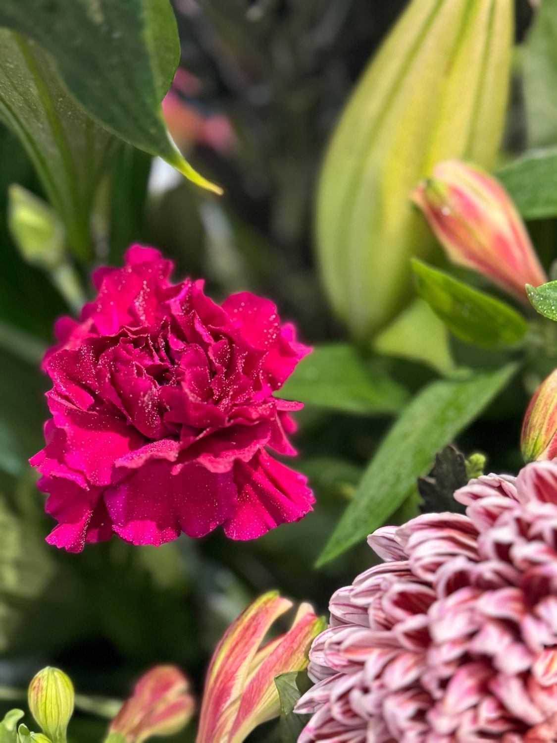 Designers Choice Arrangement 4