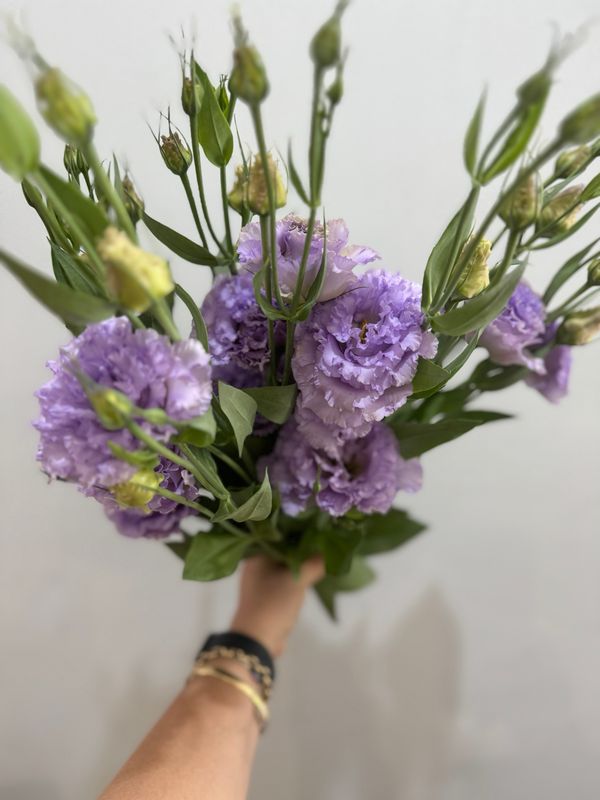 Designers Choice Arrangement 5