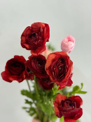 Designers Choice Arrangement 6