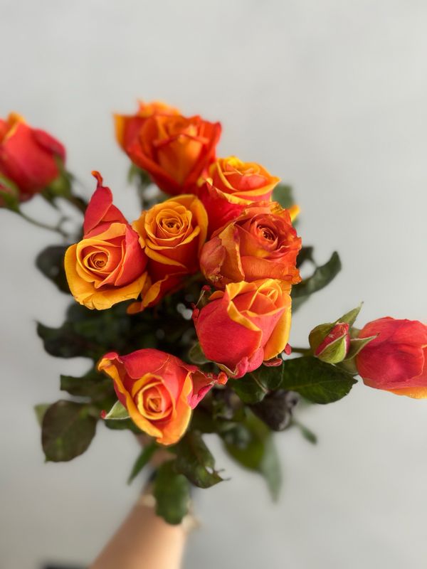 Designers Choice Arrangement 7