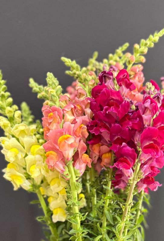 Designers Choice Bouquet 2