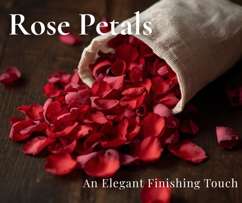 Rose Petals