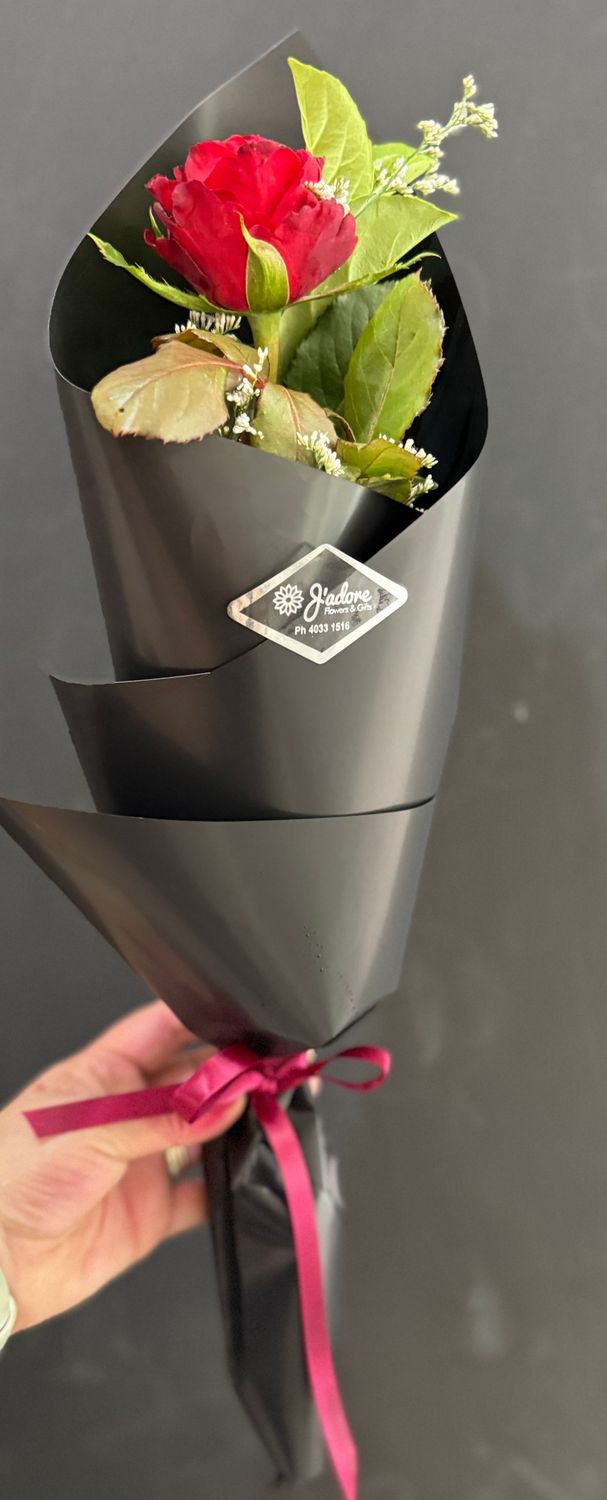 One Perfect Rose One Perfect Rose