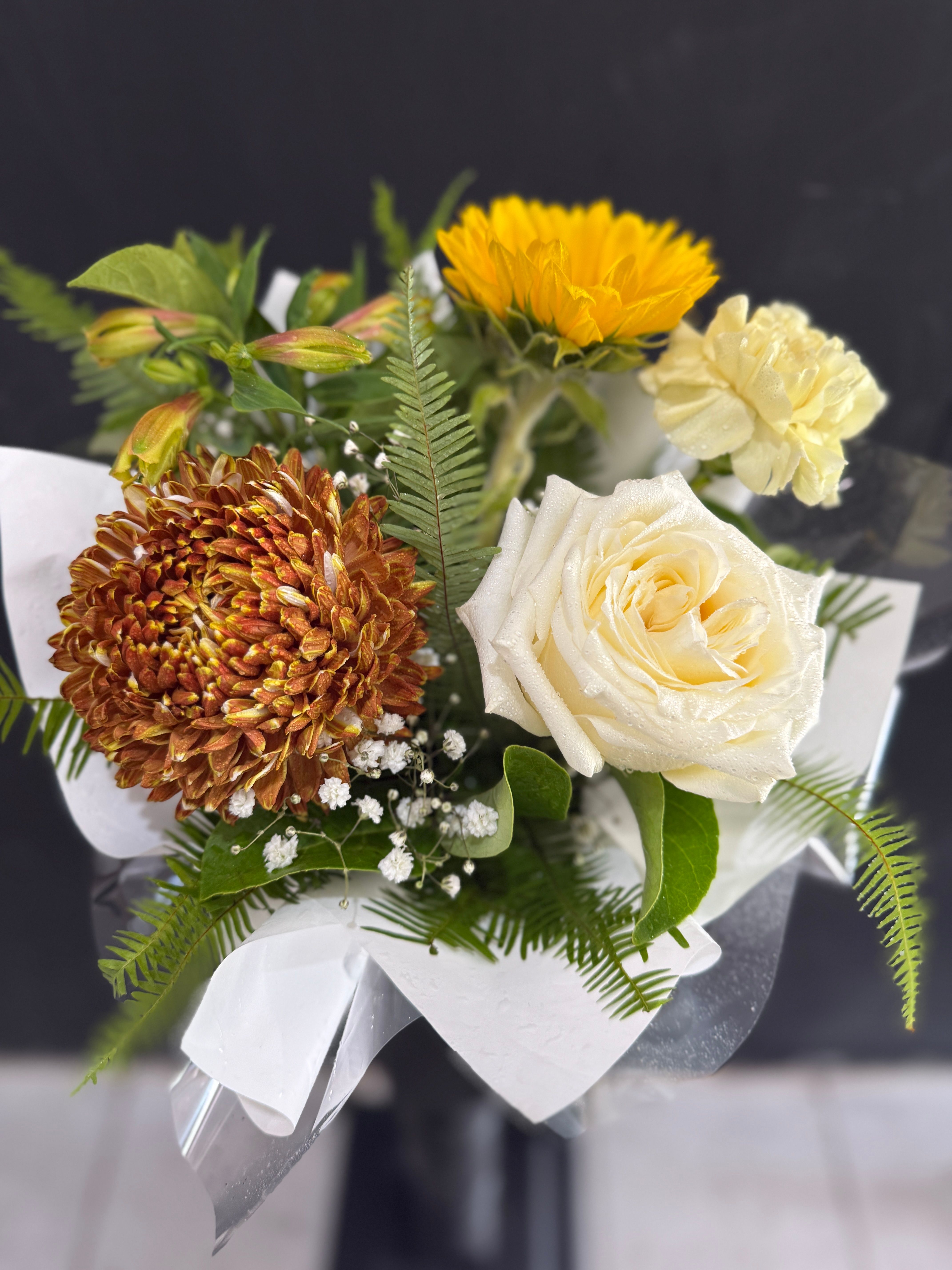 $50 SPECIALS - LIMITED TIME ONLY