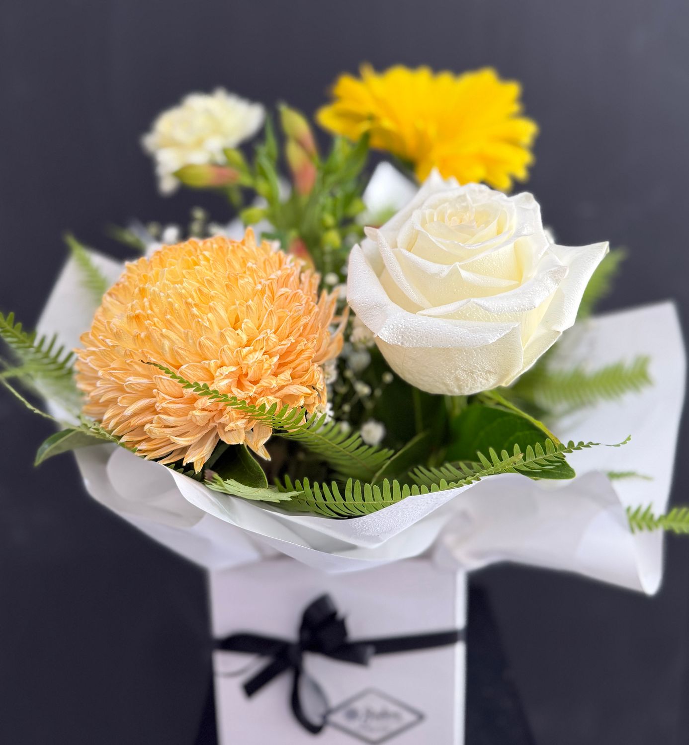 $50 SPECIALS - LIMITED TIME ONLY