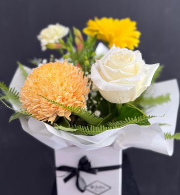 $50 SPECIALS - LIMITED TIME ONLY