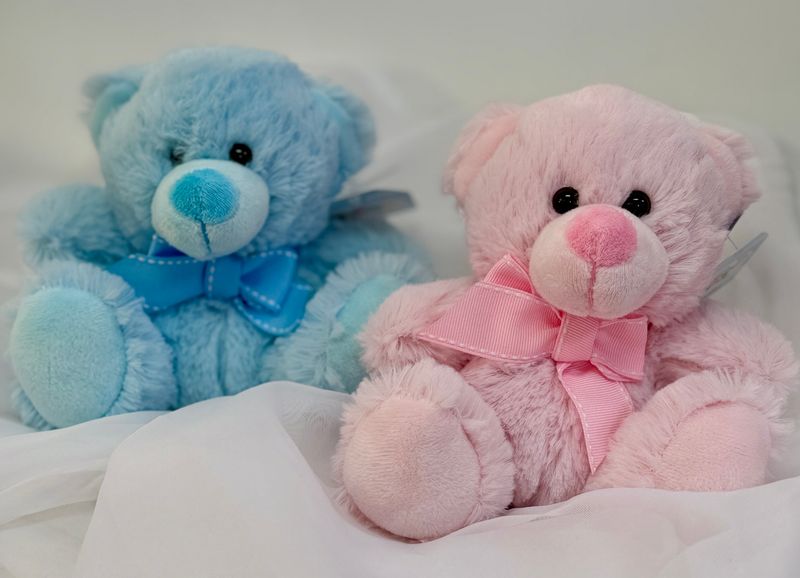 Pink & Blue Teddy Bears