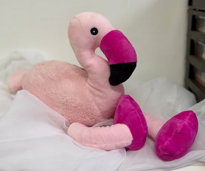 Pink Flamingo Pink Flamingo