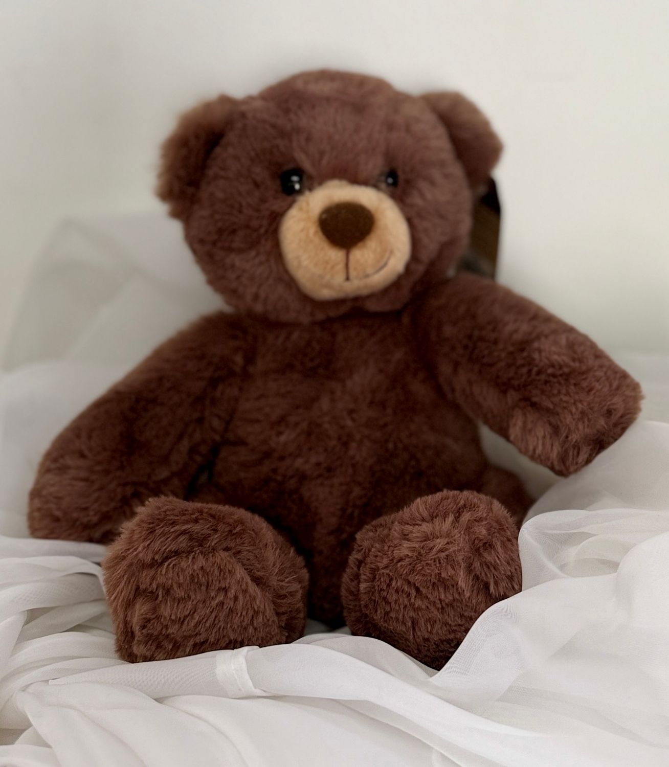 ​Chocolate Teddy Bear Plush