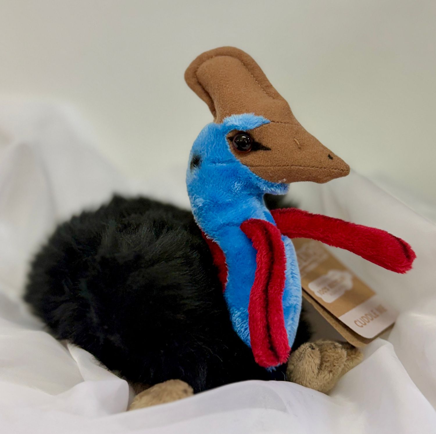 Cassowary Cassowary