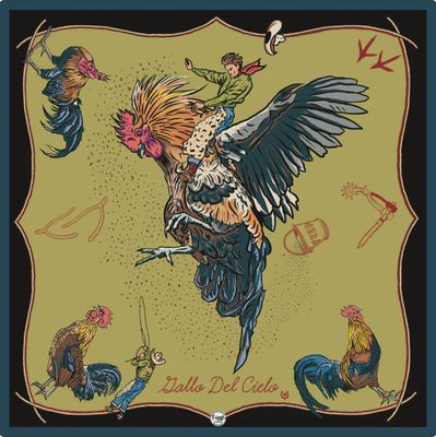 Fringe Scarves Gallo Del Cielo