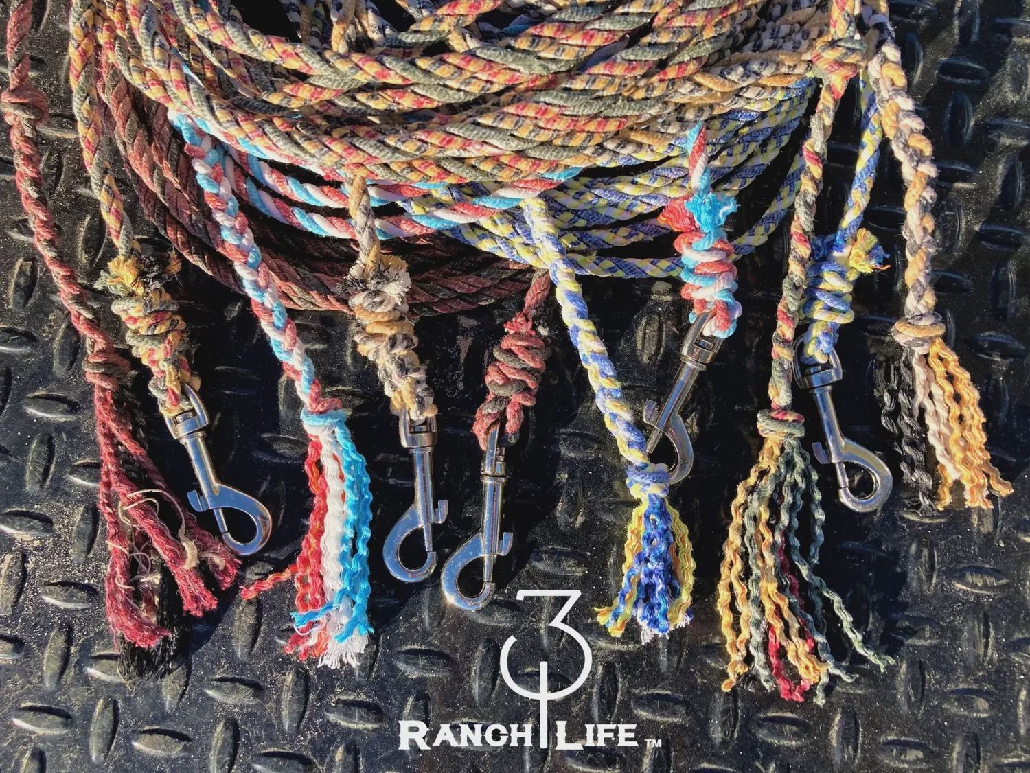 Dog Training Lead - 5’