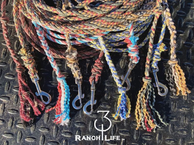 Dog Training Lead - 5’