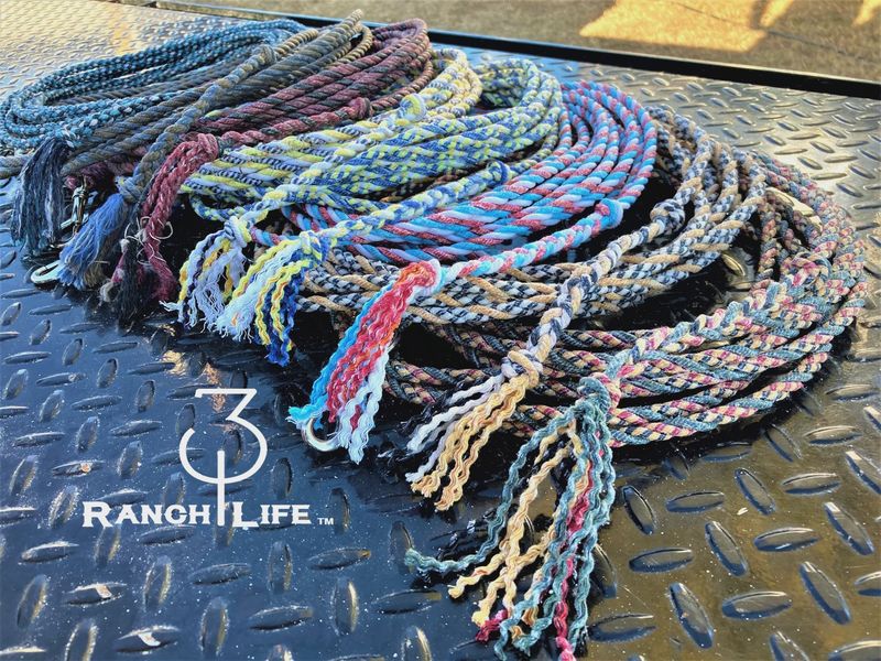 Dog Training Lead - 5’