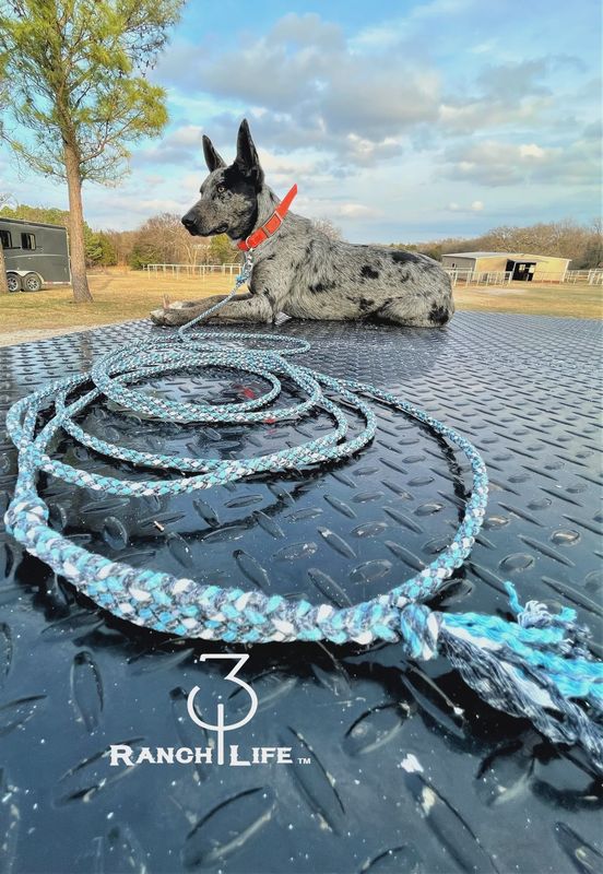 Dog Training Lead - 10’