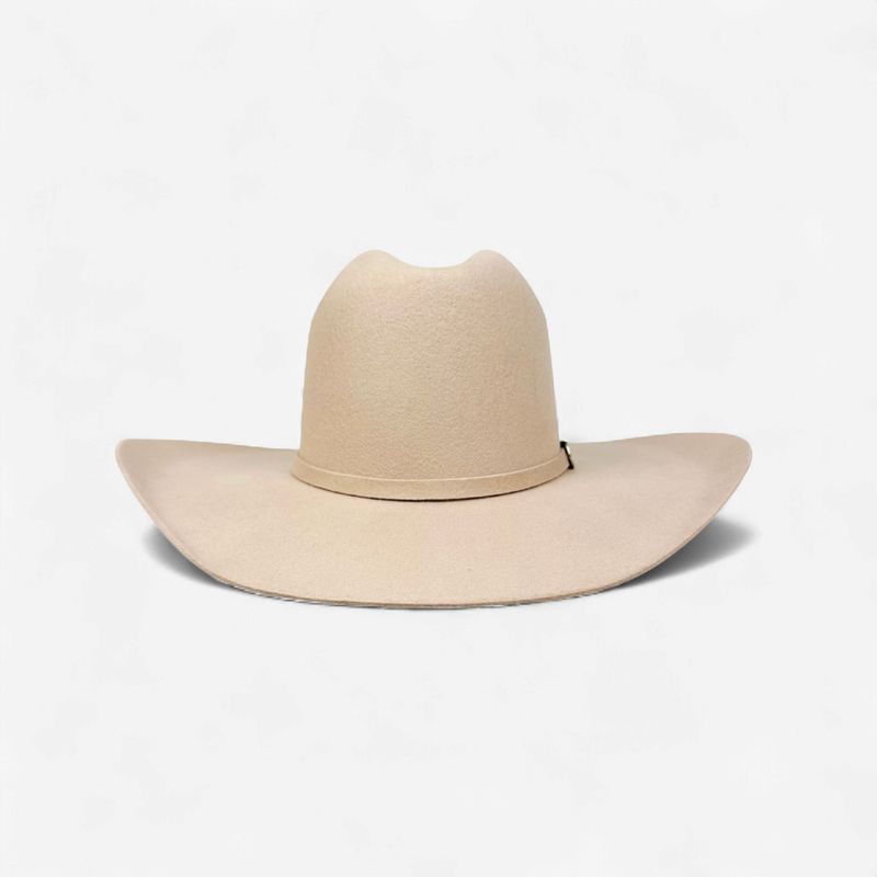 Twister 3X Wool Hat - Silver Belly