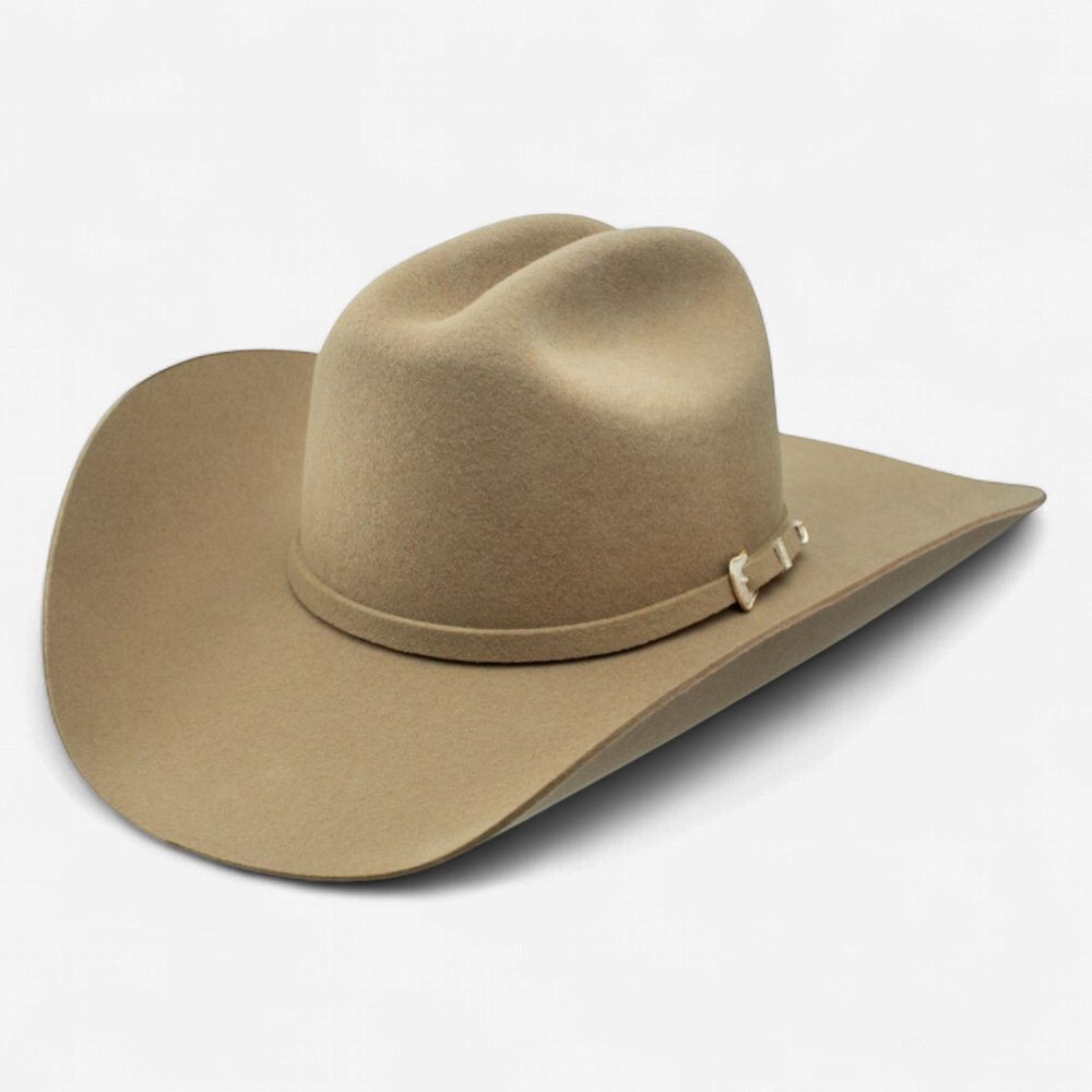 3X Oak Ridge Wool Felt Hat - Stone - Stetson