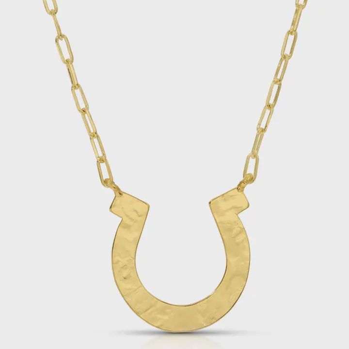 Large Horseshoe Necklace - Splendid Iris