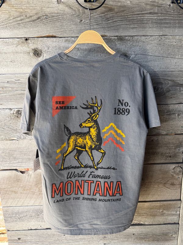 Wildlands Tee Mens - Washed Thyme