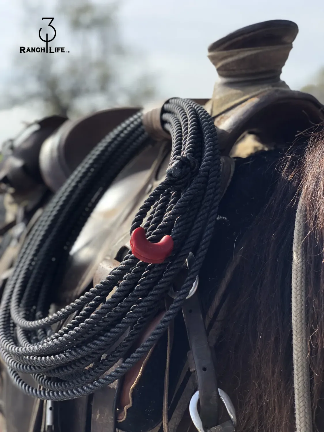 Poly Ranch Rope: The Spade 3 Strand - 310 Ranch Life