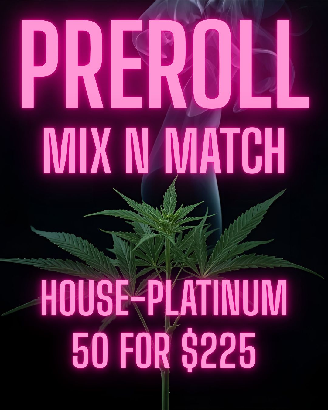 PREROLL | 50 Pack | Mix & Match