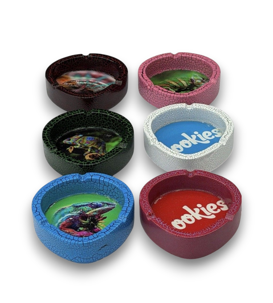 Accessories | Ashtray | Colorful Iguana Ashtray