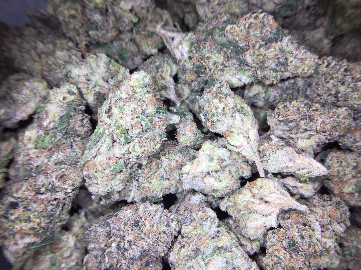 PLATINUM | Candy Mob | Sativa Hybrid | 29%